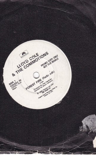 Lloyd Cole & The Commotions-0