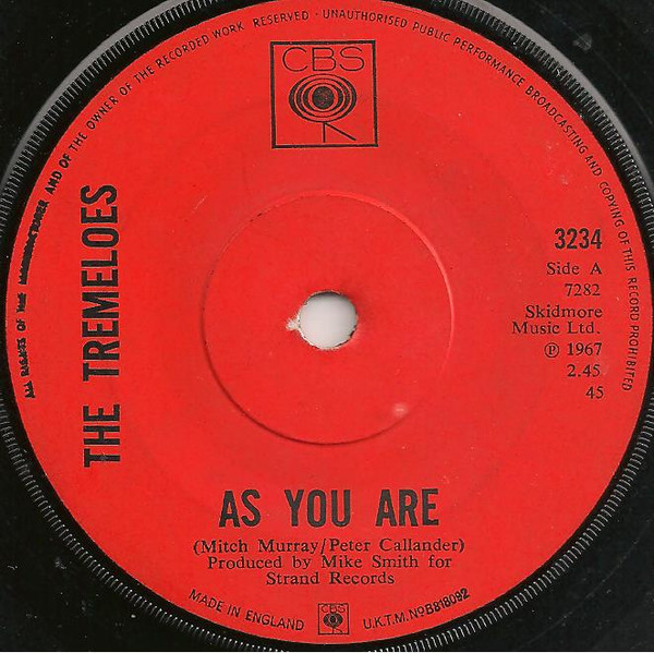 The Tremeloes-1