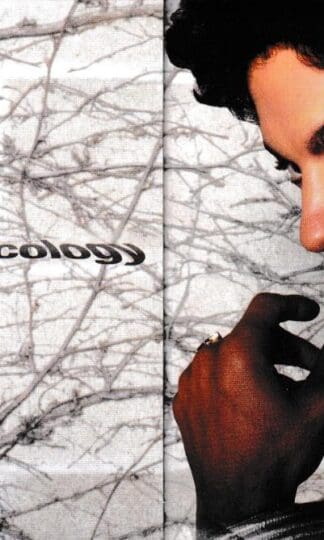 Musicology:Prince