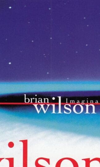 Imagination:Brian Wilson