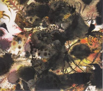 Black Currents EP:Rachel Sermanni - Image 2