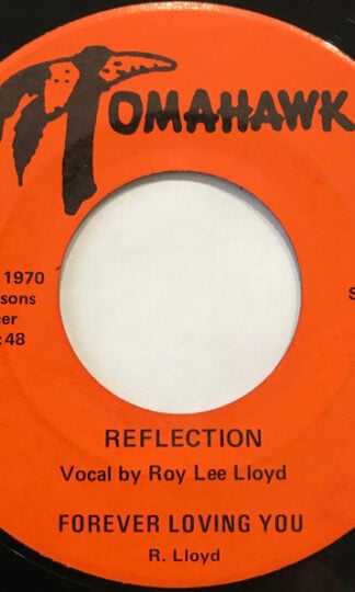 Reflection (23)-0