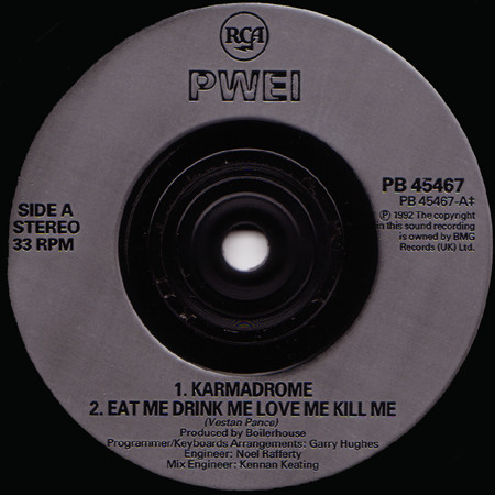 Pop Will Eat Itself-2