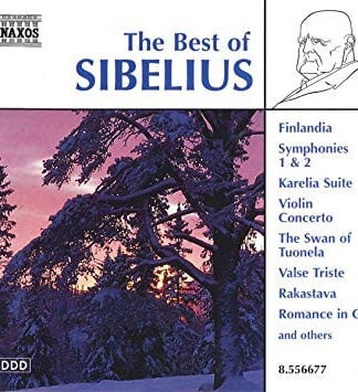 Jean Sibelius-0