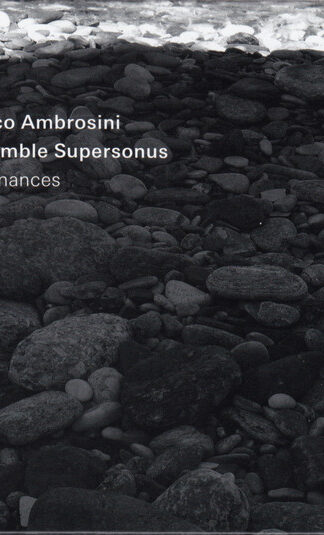 Marco Ambrosini, Ensemble Supersonus-0