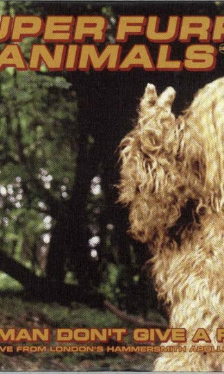 Super Furry Animals-0