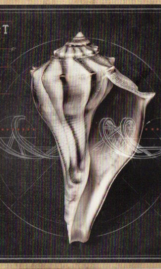 Robert Plant And The Sensational Space Shifters-0