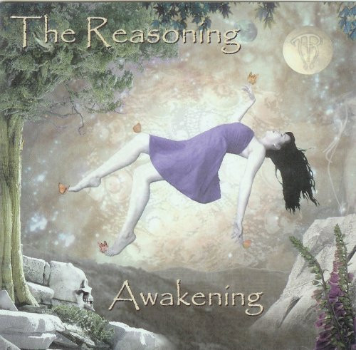 The Reasoning-0