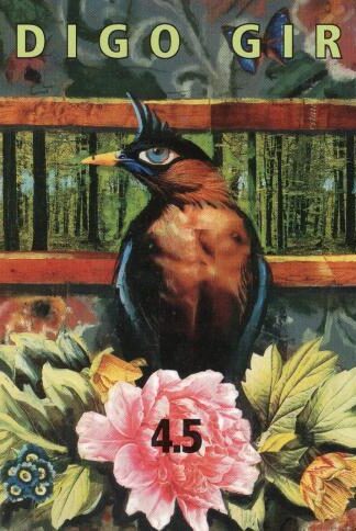 4.5:Indigo Girls