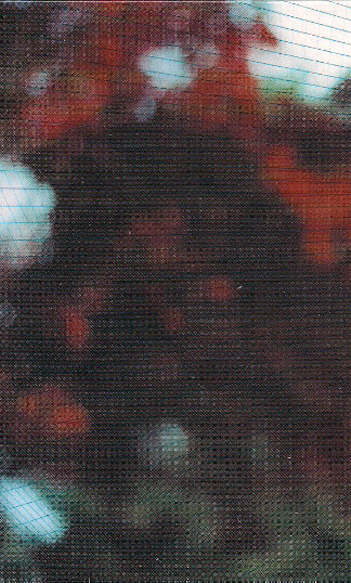 Various-0