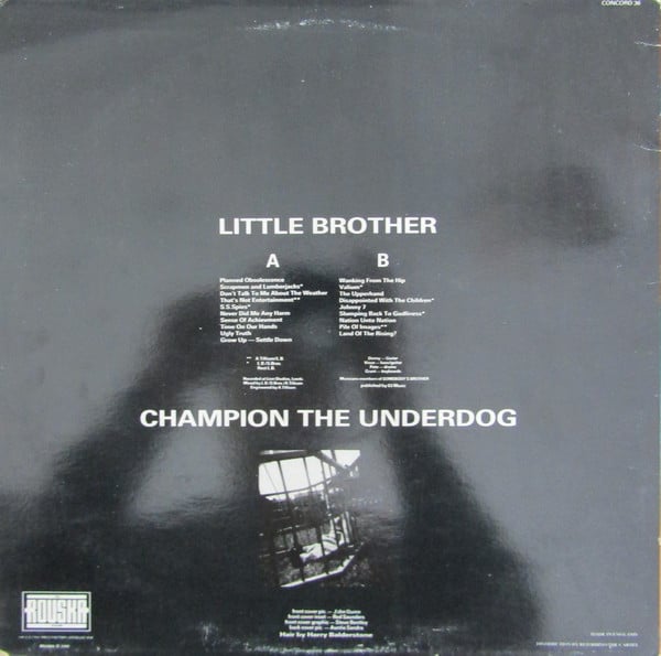 Little Brother-1
