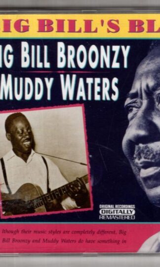 Big Bill's Blues:Big Bill Broonzy & Muddy Waters