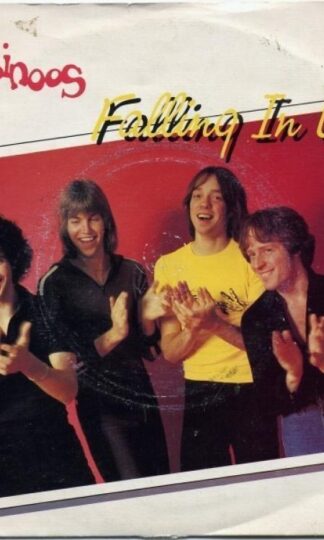 Falling In Love/Leave My Heart Alone 7" : The Rubinoos