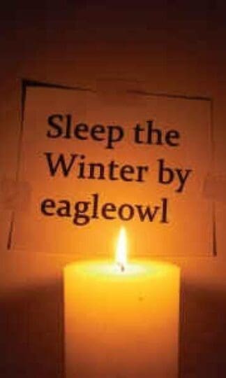 Sleep The Winter 7" : Eagleowl