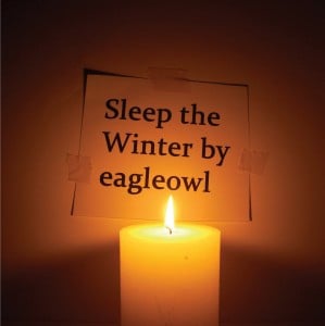 Eagleowl-0