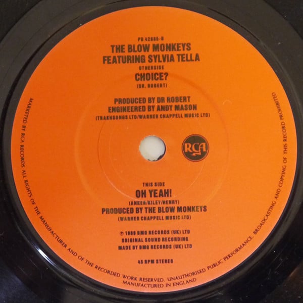 The Blow Monkeys Featuring Sylvia Tella-3
