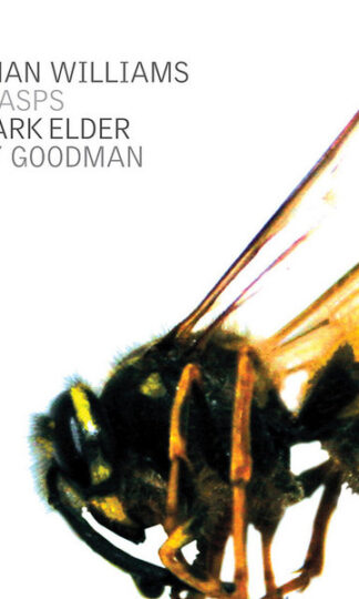 Ralph Vaughan Williams - Henry Goodman , Hallé Orchestra , Mark Elder (2)-0