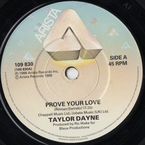 Taylor Dayne-2