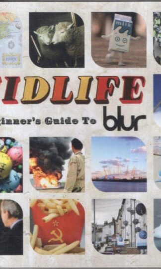 Midlife: A Beginner's Guide To Blur:Blur