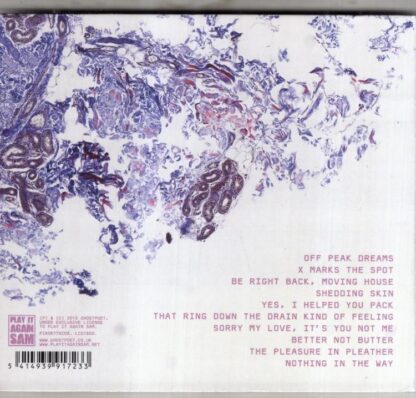 Shedding Skin:Ghostpoet - Image 2