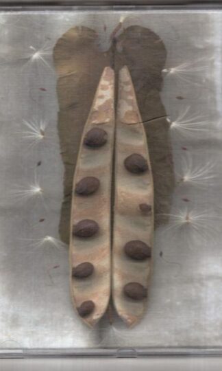 The Sleep Of Seeds:Alio Die & Saffron Wood