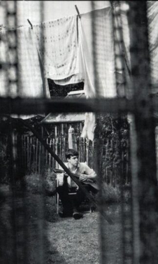 Chaos And Creation In The Backyard:Paul McCartney