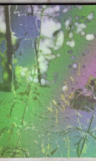 Get Lost:Mark McGuire