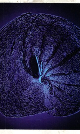 Genesis:Nebula