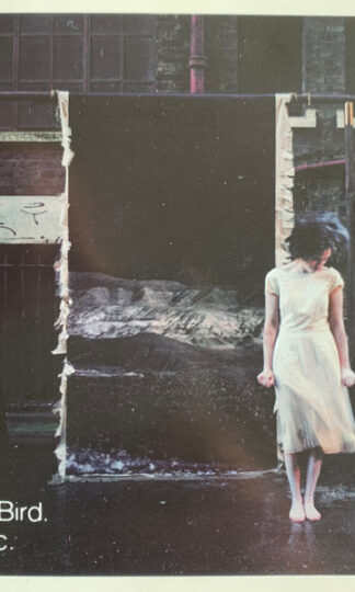Martina Topley-Bird-0