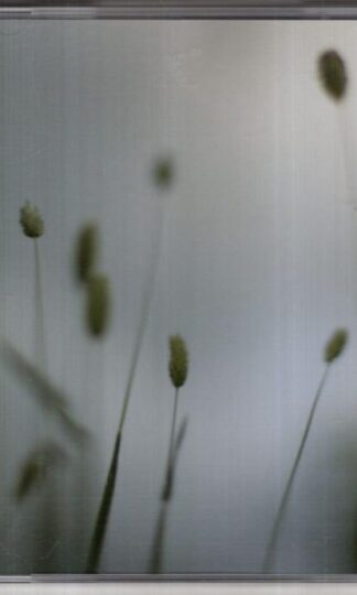 Float:Peter Broderick