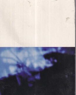 At My Most Beautiful:R.E.M.
