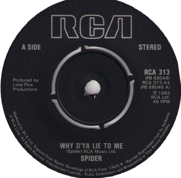Spider (6)-2