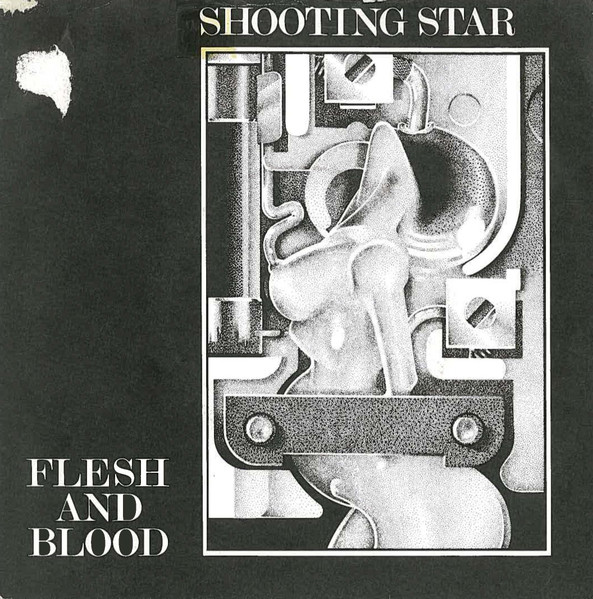 Shooting Star (4)-0