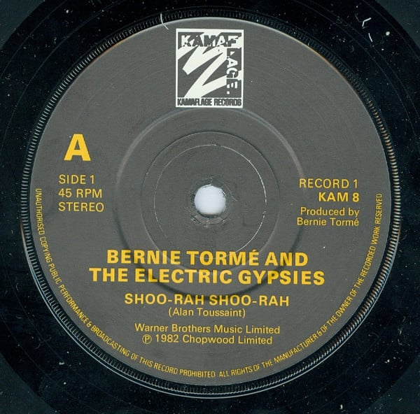 Bernie Tormé And Electric Gypsies-3