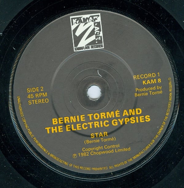 Bernie Tormé And Electric Gypsies-4