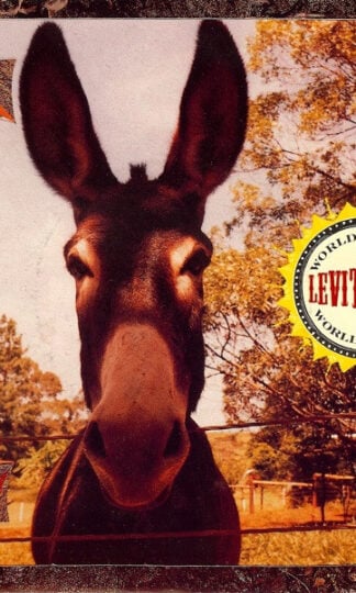 Levitation (2)-0