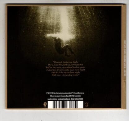 Beneath This Burning Shoreline:Cherry Ghost - Image 2