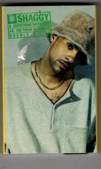 Something Different / The Train Is Coming:Shaggy