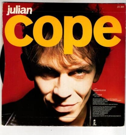 Trampolene:Julian Cope - Image 2