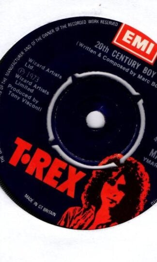 20th Century Boy:T. Rex