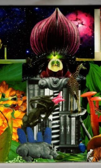 New Magnetic Wonder:The Apples In Stereo