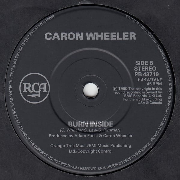 Caron Wheeler-3