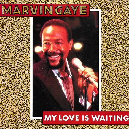 Marvin Gaye-0