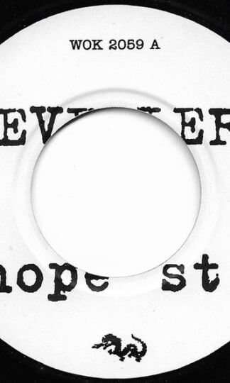 The Levellers-0