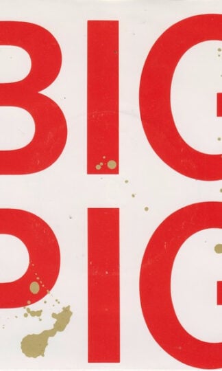 Big Pig-0