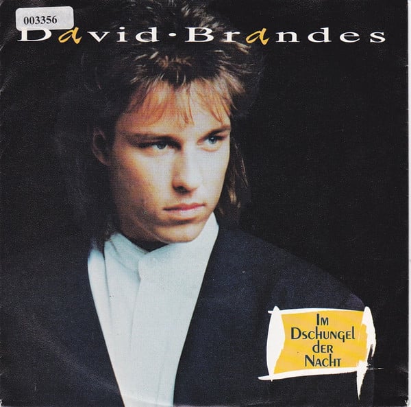 David Brandes-0