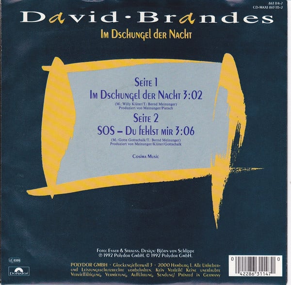 David Brandes-1