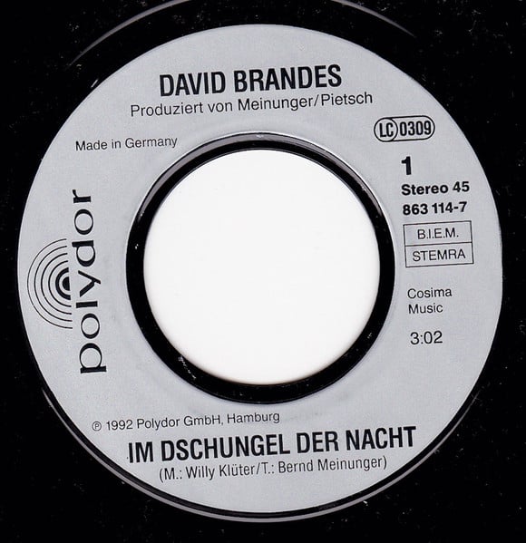 David Brandes-2