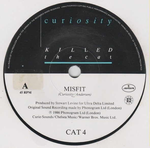 Curiosity Killed The Cat-2