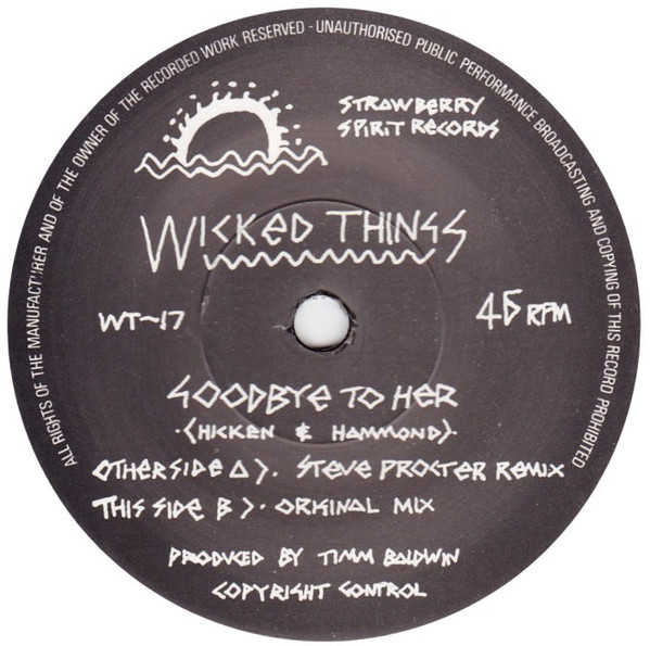 The Wicked Things-3